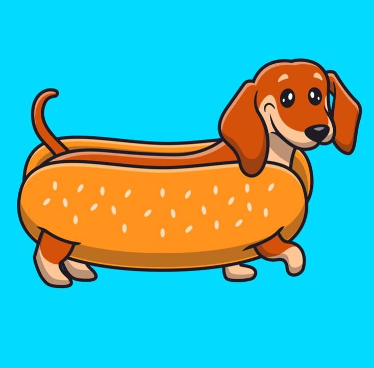 Top Benefits of Having a Dachshund