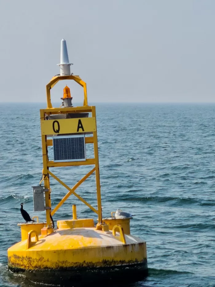 Frequently Asked Questions (FAQs)